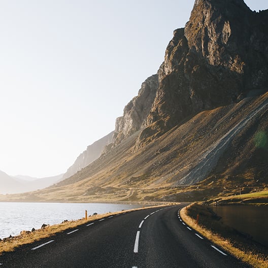 Pc 2025 Q4 Synthesis Whats Your Flavour Of Choice Homepagebanner 528X528px